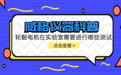 威格仪器-轮毂电机在实验室需要进行哪些测试插图