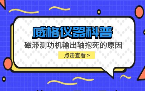 威格仪器-磁滞测功机输出轴抱死的原因及leyu手机版登录入口官网的解决方案插图